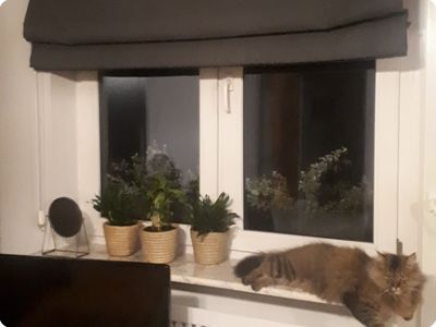 Prywatne mieszkanie w Lublinie